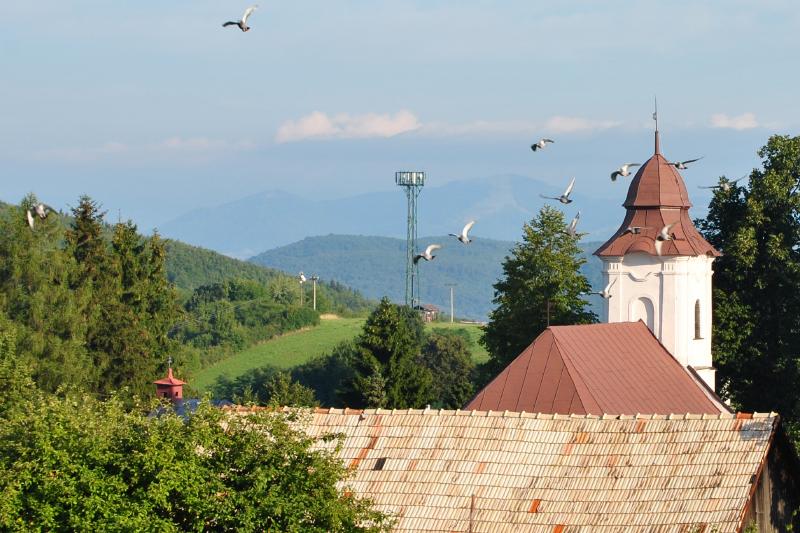 pepajs.cz